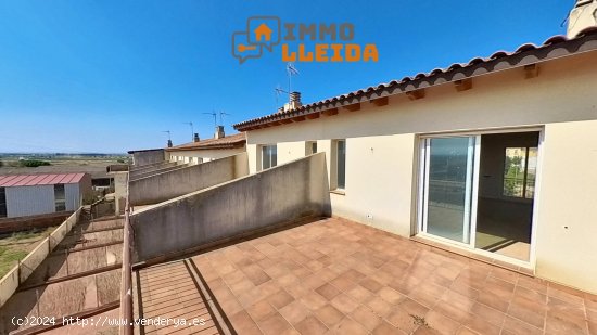  Unifamiliar adosada en venta  en Bellcaire d Urgell - Lleida 