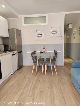 APARTAMENTO DE DOS DORMITORIOS REFORMADO EN ORLANDO