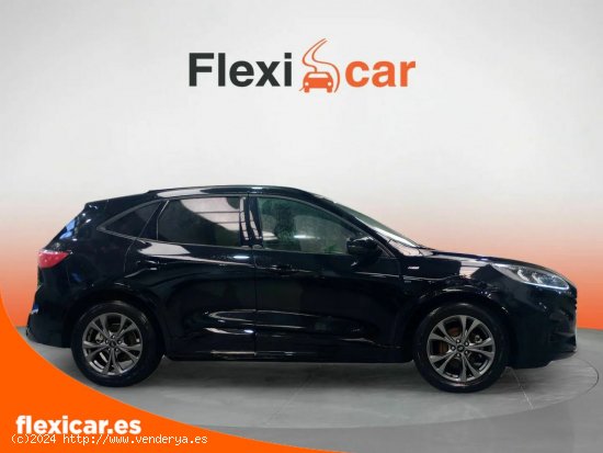 Ford Kuga ST-Line 1.5 EcoBlue 88kW (120CV) - Ourense