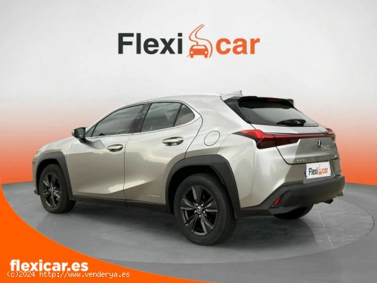 Lexus UX 2.0 250h Business Navigation - Ciudad Real