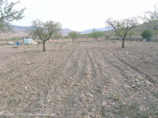 Terreno en zona Rebalso (Hondón de las Nieves) - ALICANTE