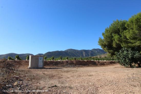 Terreno en La Romana - ALICANTE