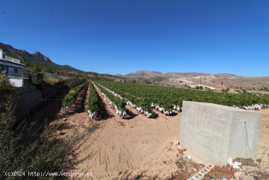 Terreno  en La Romana - ALICANTE