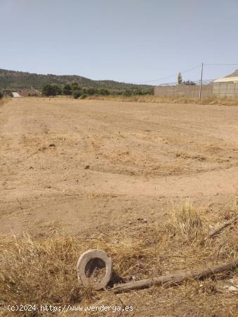 Terreno en Aspe - ALICANTE