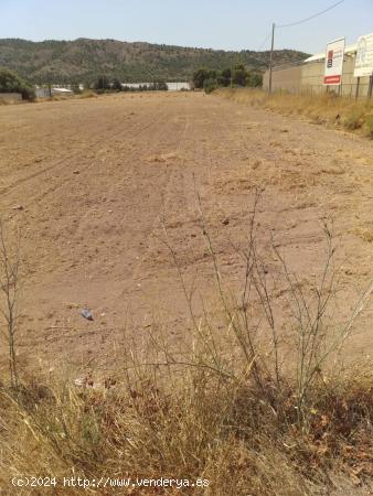 Terreno en Aspe - ALICANTE