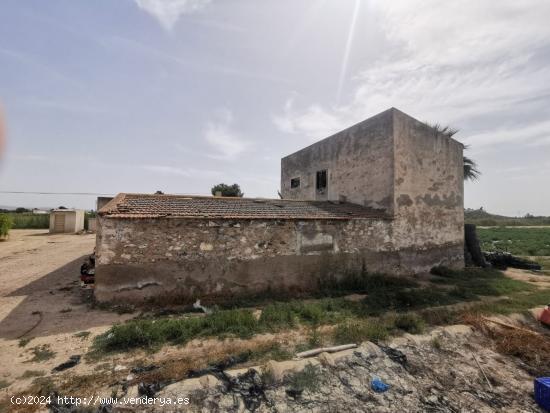  Terreno 30000 metros en El realengo - ALICANTE 