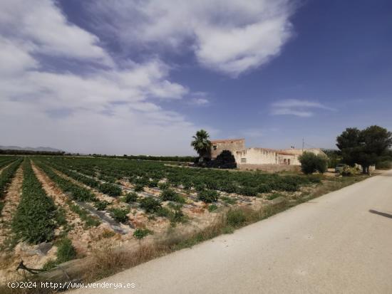 Terreno 30000 metros en El realengo - ALICANTE