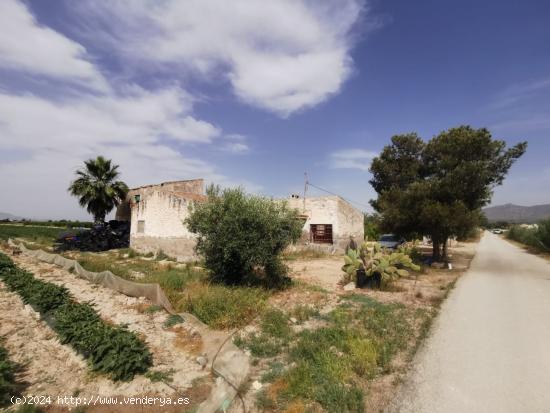 Terreno 30000 metros en El realengo - ALICANTE