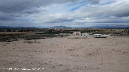 Parcela interesante, edificable en un 2% - ALICANTE