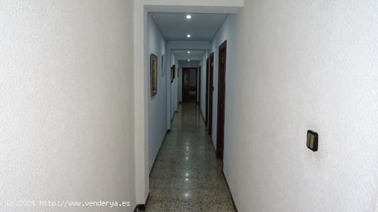 Estupenda vivienda,zona plaza Crenvillente - ALICANTE