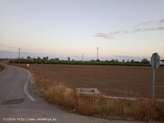 Parcela de 8.000 M2 en Matola - ALICANTE