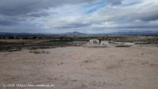 PARCELA EN PEÑA LAS AGUILAS - ALICANTE