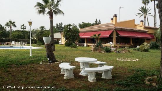  MAGNIFICO CHALET EN PEÑA LAS AGUILAS - ALICANTE 