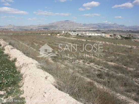 SE VENDE PARCELA/TERRENO EN ASPE - ALICANTE