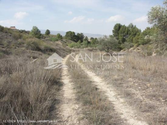 SE VENDE PARCELA/TERRENO EN JUMILLA - MURCIA