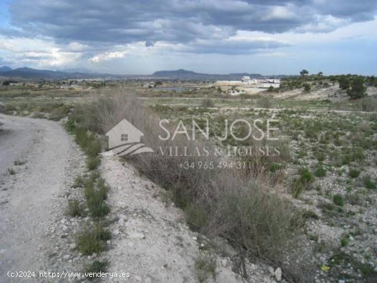 VENTA DE PARCELA EN NOVELDA - ALICANTE