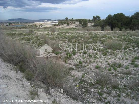 VENTA DE PARCELA EN NOVELDA - ALICANTE