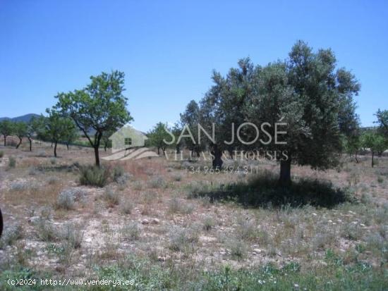 VENTA DE TERRENO EN HONDON DE LOS FRAILES - ALICANTE