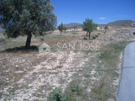 VENTA DE TERRENO EN HONDON DE LOS FRAILES - ALICANTE