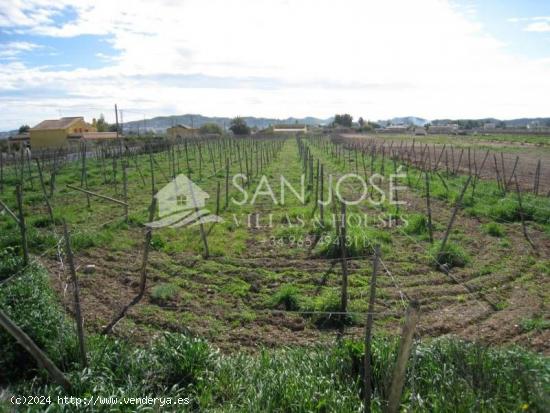  VENTA DE TERRENO RURAL EN ZONA HORNA EN ASPE - ALICANTE 