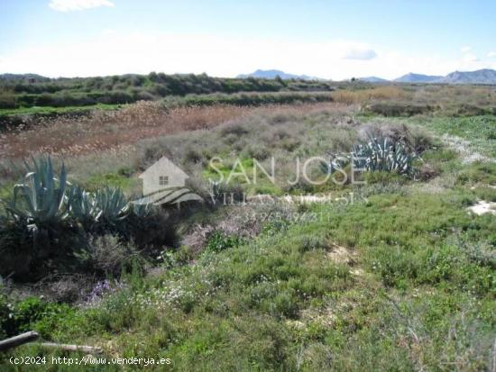 VENTA DE PARCELA EN ASPE - ALICANTE