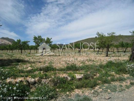 VENTA DE PARCELA EN HONDON DE LAS NIEVES - ALICANTE