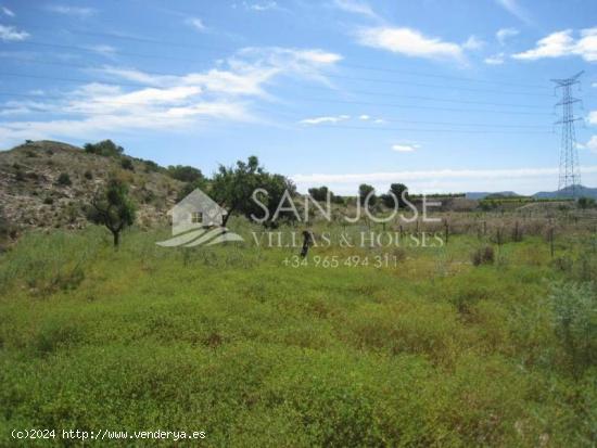 VENTA DE PARCELA EN NOVELDA - ALICANTE