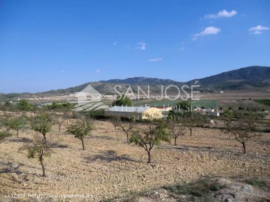 VENTA DE PARCELA EN HONDON DE LAS NIEVES - ALICANTE