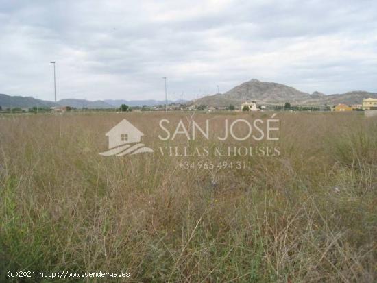 VENTA DE PARCELA EN URBANIZACIÓN LA COLUMNA EN ASPE - ALICANTE