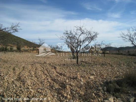 VENTA DE PARCELA CON LICENCIA DE OBRAS EN HONDON DE LAS NIEVES - ALICANTE