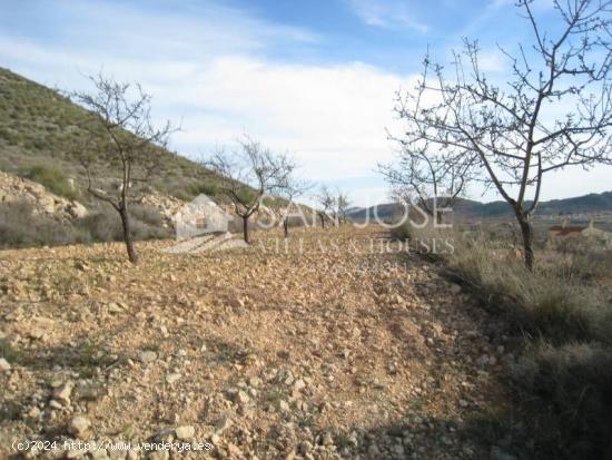 VENTA DE PARCELA CON LICENCIA DE OBRAS EN HONDON DE LAS NIEVES - ALICANTE