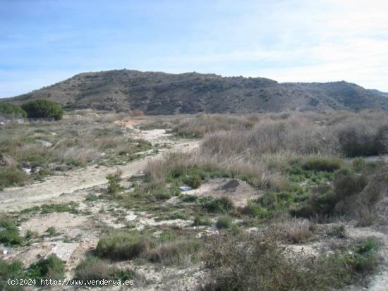 SE VENDE PARCELA EN ZONA DE TRES HERMANAS EN ASPE - ALICANTE