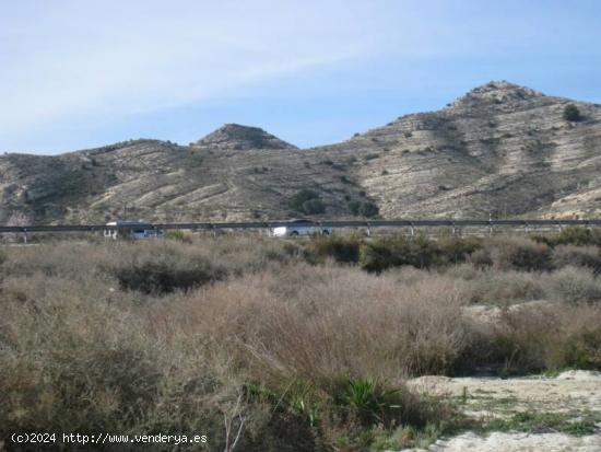 SE VENDE PARCELA EN ZONA DE TRES HERMANAS EN ASPE - ALICANTE