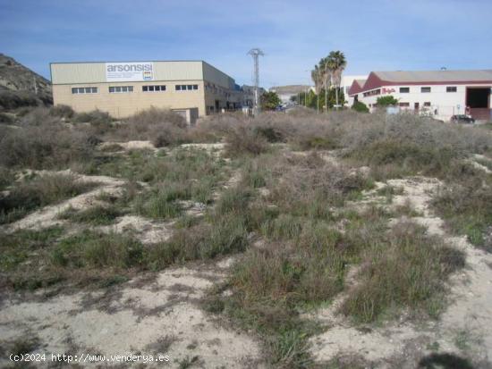 SE VENDE PARCELA EN ZONA DE TRES HERMANAS EN ASPE - ALICANTE