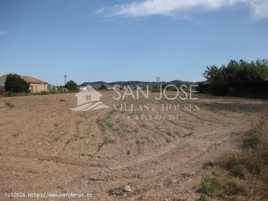 Inmobiliaria San Jose vende estupenda parcela en Aspe, Alicante, Costa Blanca - ALICANTE