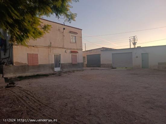 OPORTUNIDAD, CHOLLO, VENTA DE TERRENO URBANO EN ASPE ALICANTE - ALICANTE