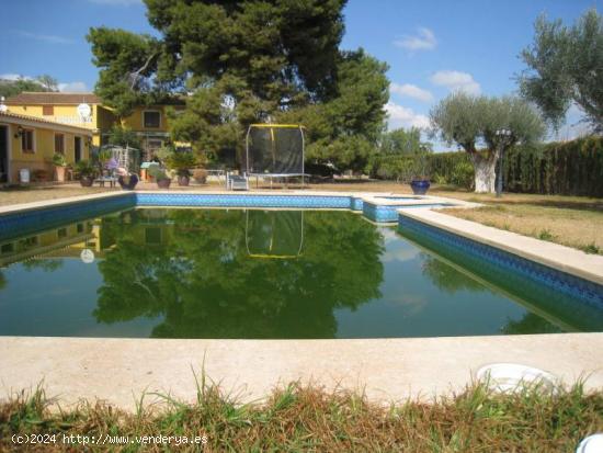 Inmobiliaria San Jose vende chalet en Aspe. Alicante.Costa Blanca - ALICANTE