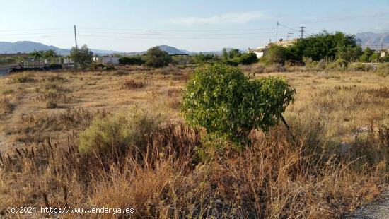 SE VENDE TERRENO EN ASPE, ALICANTE, ESPAÑA, SPAIN. - ALICANTE