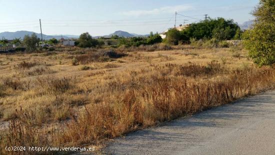 SE VENDE TERRENO EN ASPE, ALICANTE, ESPAÑA, SPAIN. - ALICANTE