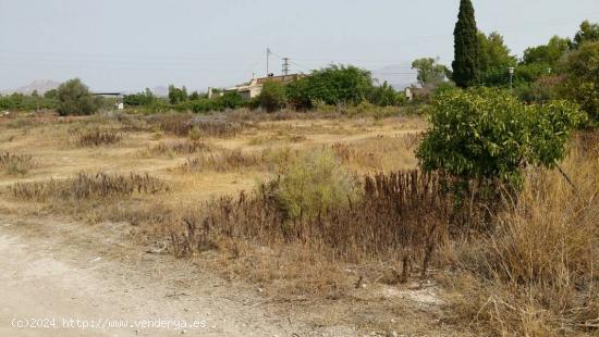 SE VENDE TERRENO EN ASPE, ALICANTE, ESPAÑA, SPAIN. - ALICANTE