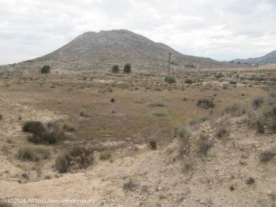 VENTA TERRENO RUSTICO - ALICANTE