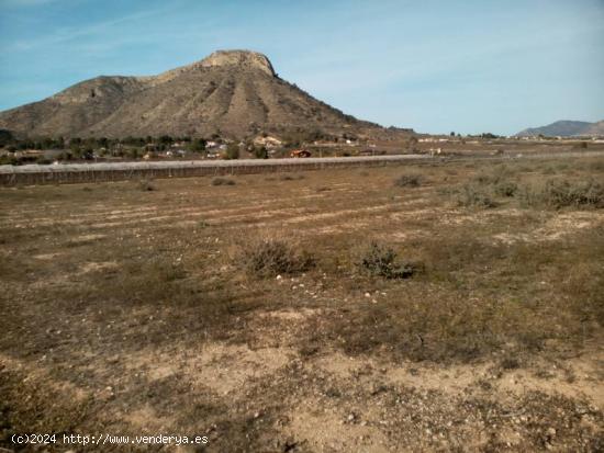  VENTA DE PARCELA DE 20.800 M2  EN ASPE EN BUENA ZONA CON AGUA DE RIEGO CON BUENAS VISTAS - ALICANTE 