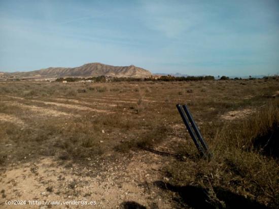 VENTA DE PARCELA DE 20.800 M2  EN ASPE EN BUENA ZONA CON AGUA DE RIEGO CON BUENAS VISTAS - ALICANTE