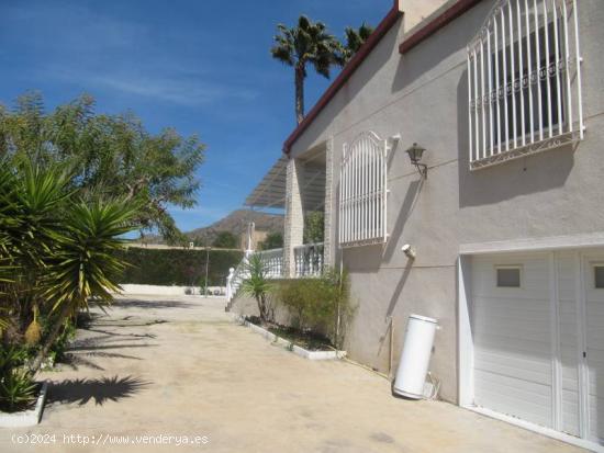 FANTASTICO CHALET EN VENTA EN NOVELDA ZONA EL PLA - ALICANTE