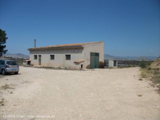 SE VENDE TERRENO CON UNAS CONDICIONES INMEJORABLES,MONFORTE - ALICANTE