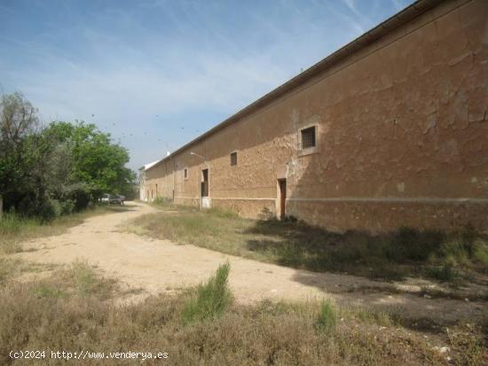 VENTA DE CORTIJO CON VIÑEDOS Y FRUTALES EN PRODUCCION - ALICANTE