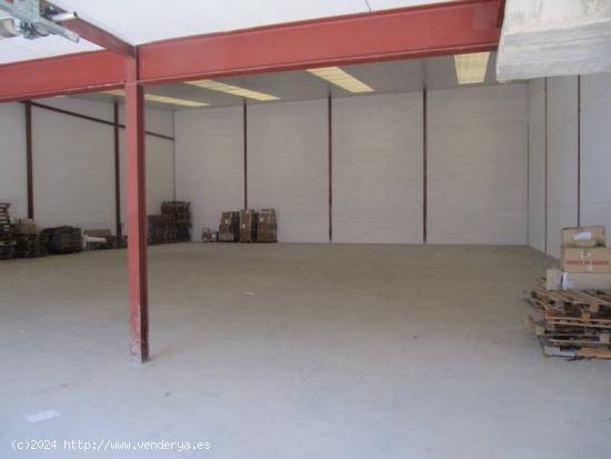 VENTA NAVE INDUSTRIAL EN MONOVAR - ALICANTE