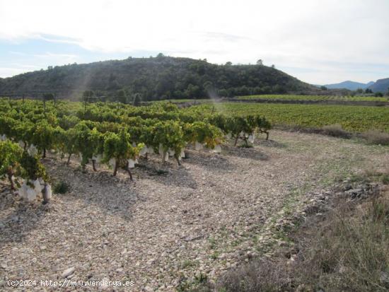 VENTA TERRENO EN LA ROMANA - ALICANTE