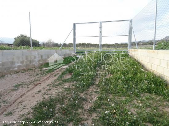  VENTA DE PARCELA DE TERRENO PARA CONSTUIR CHALET EN LA MEJOR ZONA DE ASPE, ALICANTE, SPAIN - ALICANT 