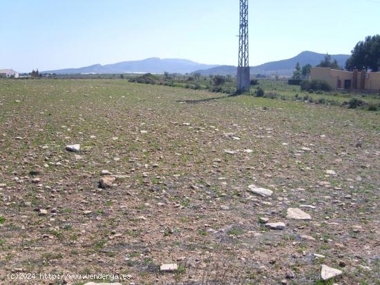 SE VENDE PARCELA TERRENO PARA CONSTRUIR - ALICANTE